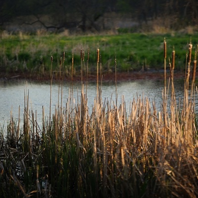 Atchison County Lake