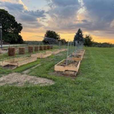 Merrywood Garden Summer 2025
