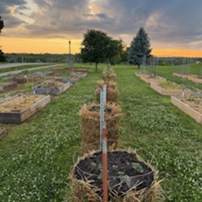 Merrywood Community Garden Summer 2025
