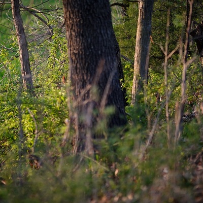 Atchison County Lake